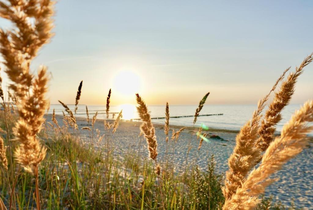 Ferienwohnung Strandurlaub Börgerende-Rethwisch Exteriér fotografie